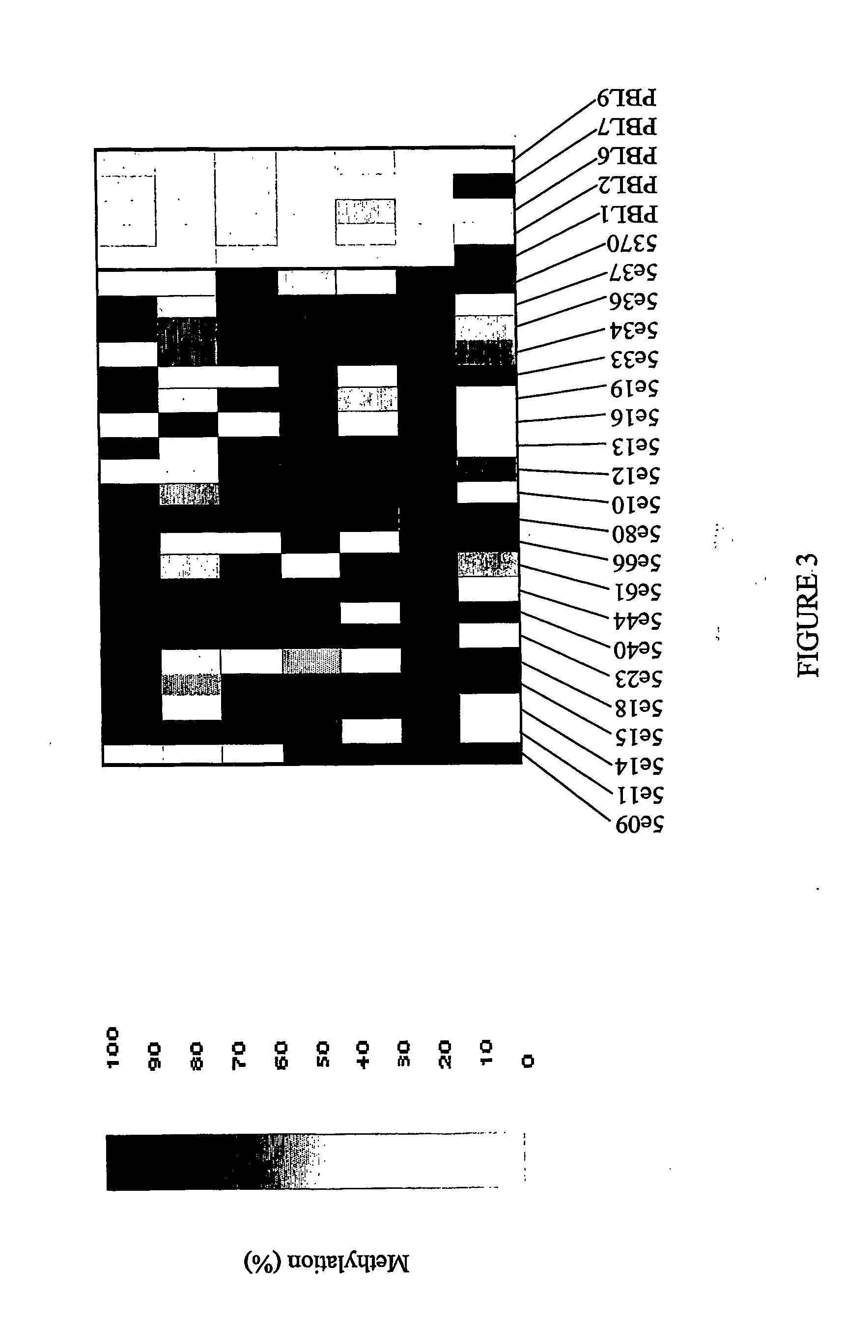 Methods and nucleic acids for the analysis of colorectal cell proliferative disorders