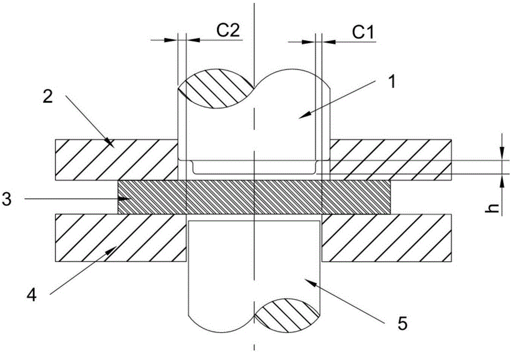 Shear-extrusion type gear-ring-free fine blanking device and method