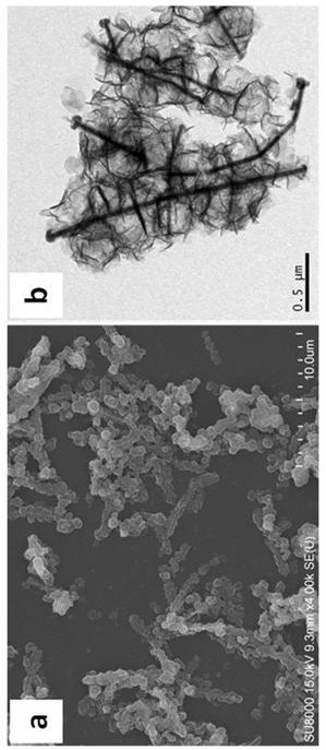 Preparation method and application of difunctional electrocatalyst