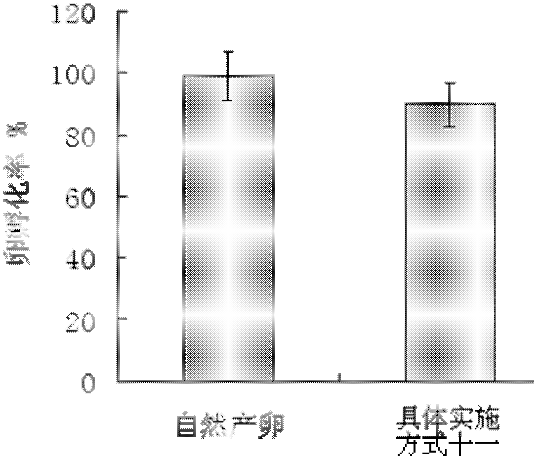 Living nematoda egg purification and extraction agent as well as its application method