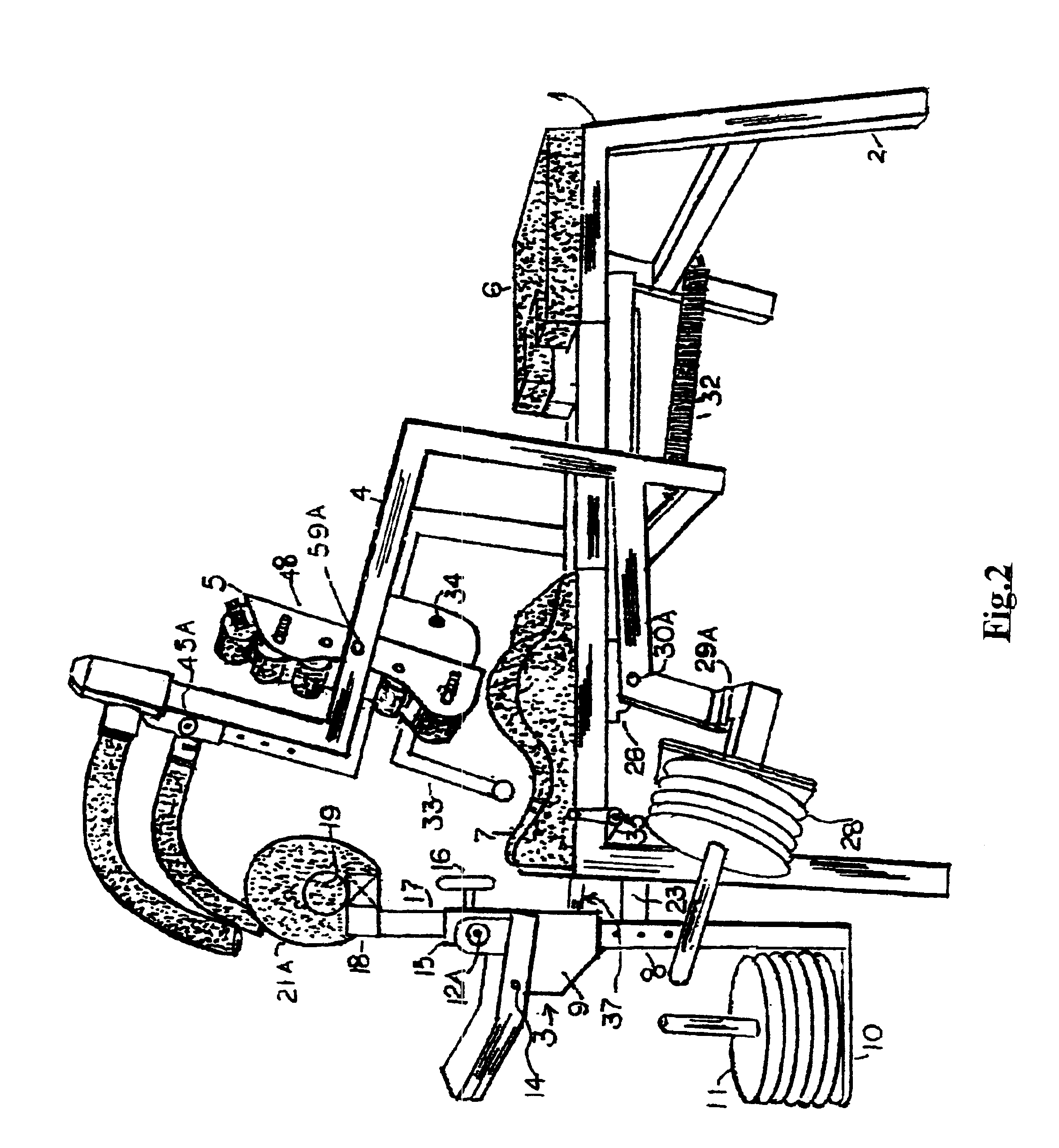 Combined therapeutic exercise apparatus for the back