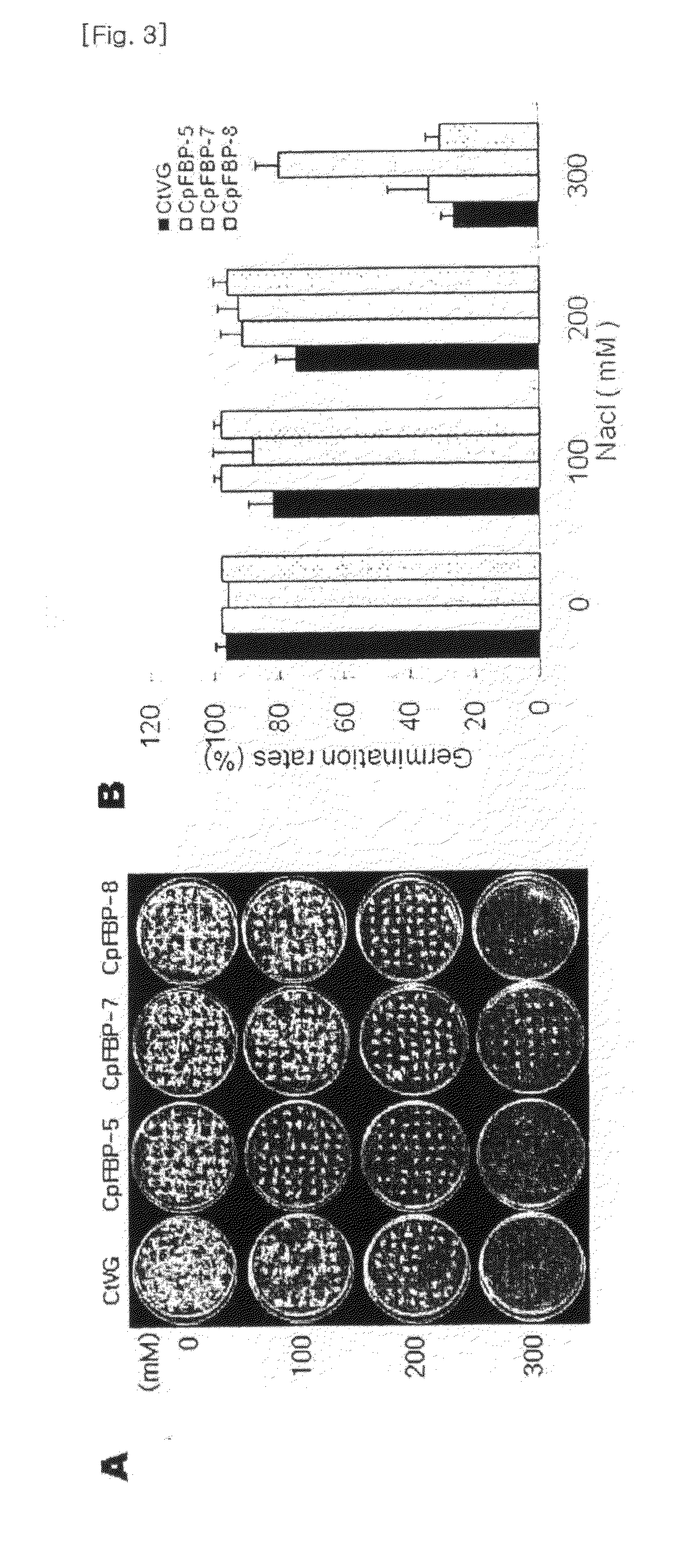 Method for increasing salt tolerance of plant by overexpressing syfbp/sbpase gene isolated from synechocystis and plant produced by the same