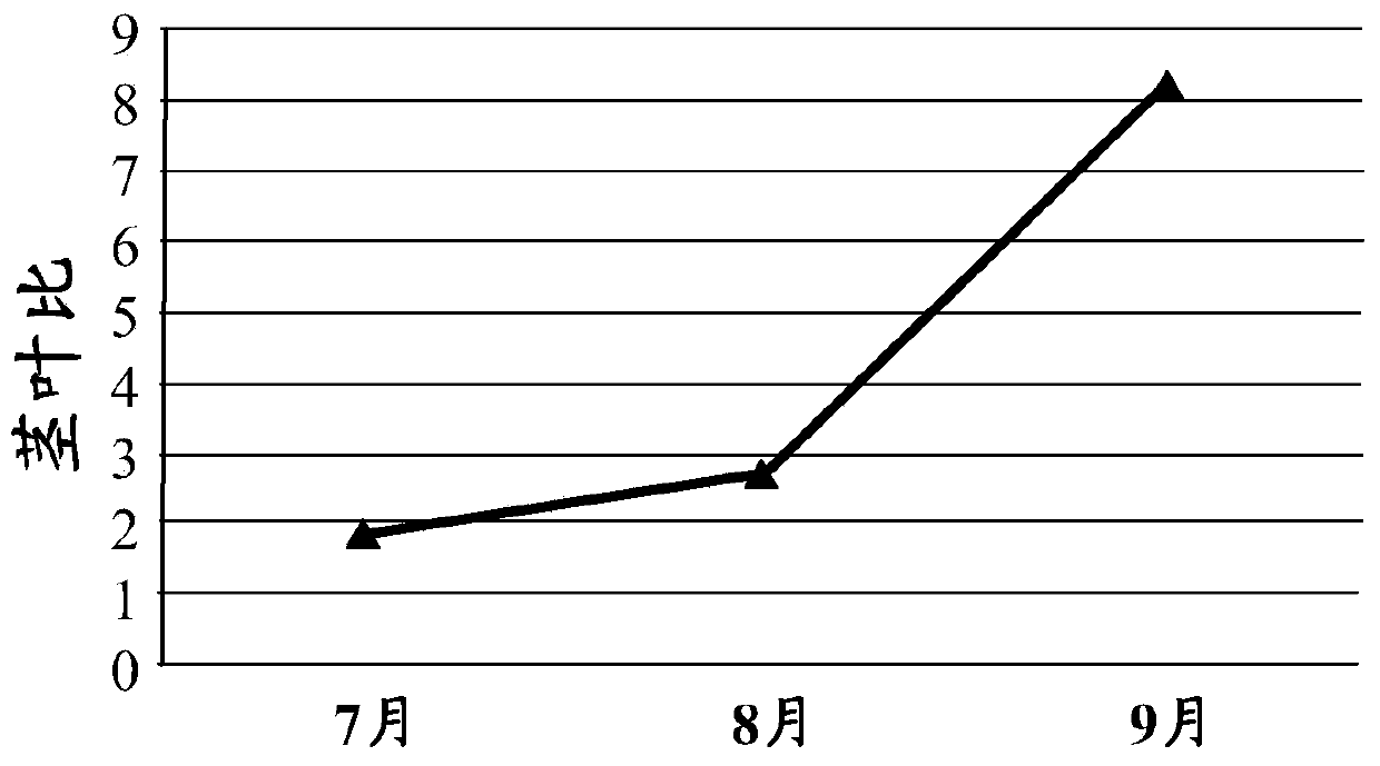 Method for planting alfalfa in typical grassland rainfed condition