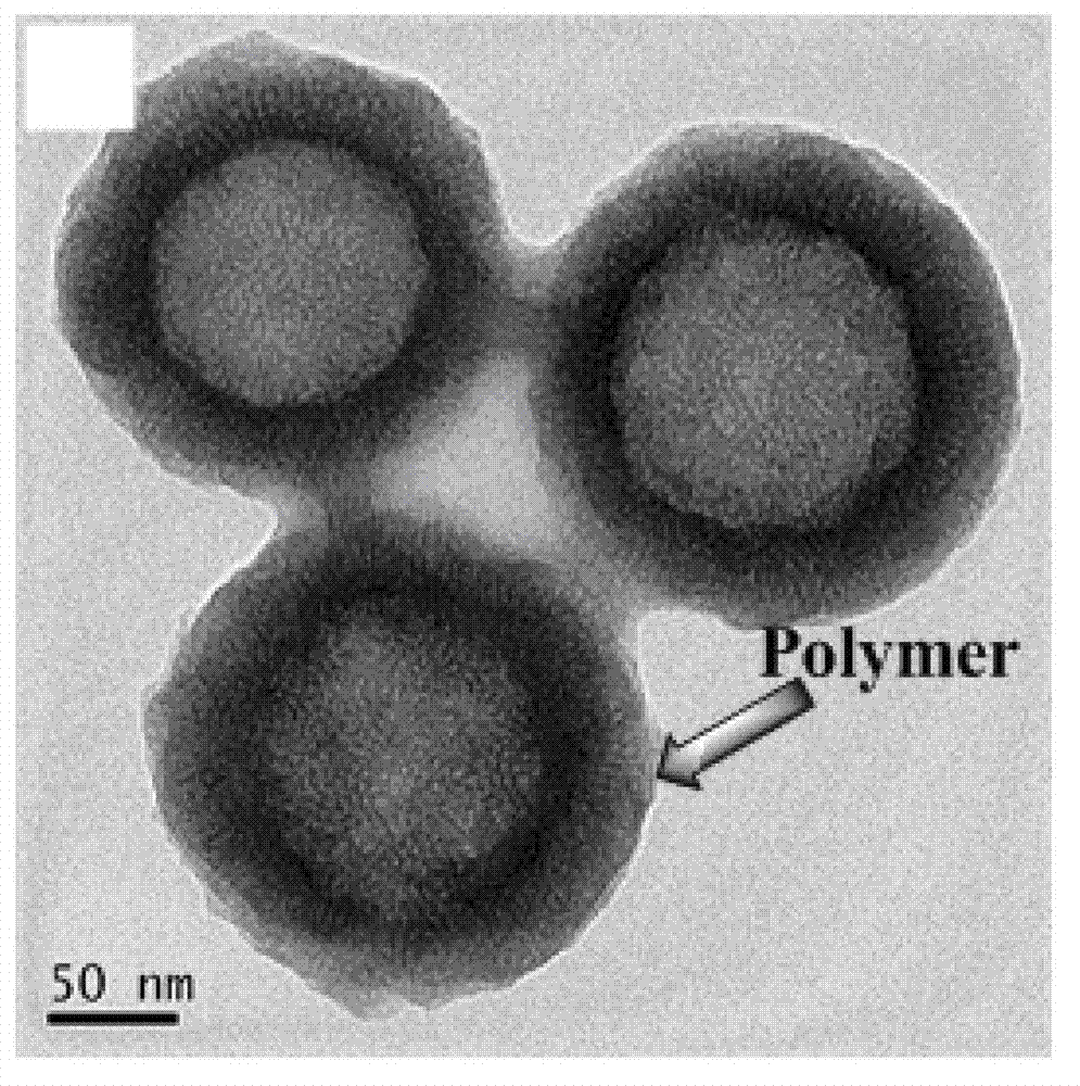 Amphiphilic polymer with tumor targeting property and visible light degradability and medicament carrier as well as preparation method thereof