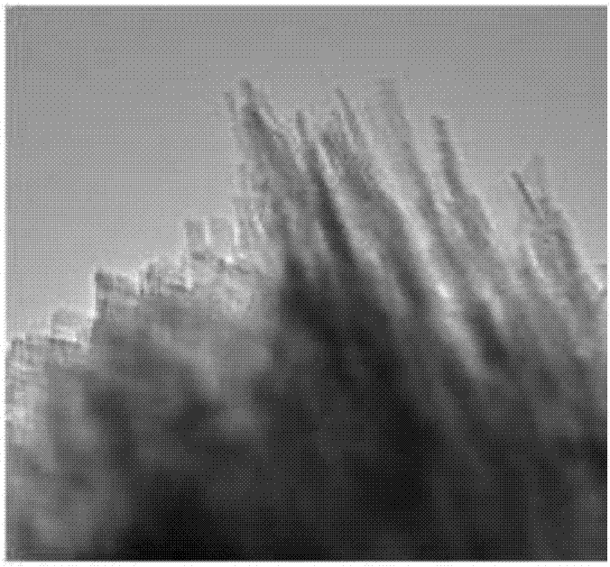 Synthetic method of c-axis orientated type Zn-ZSM-5 molecular sieve under action of external magnetic field