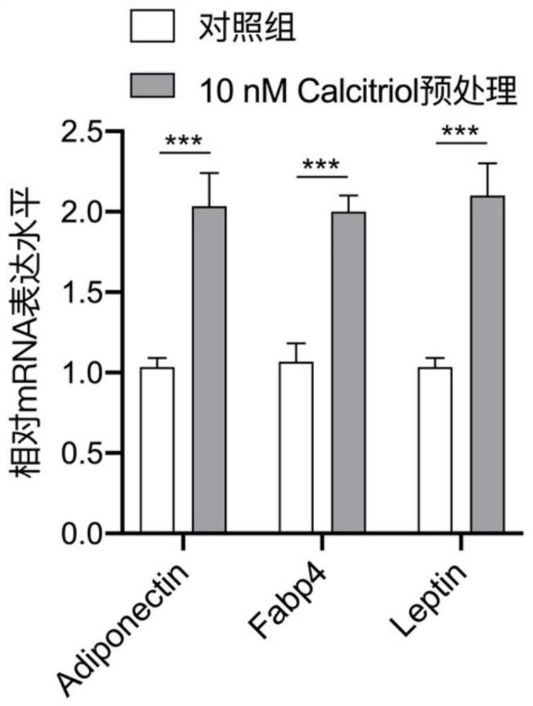 Application of vitamin d3 and its analogs in promoting the differentiation of human skin fibroblasts into adipocytes