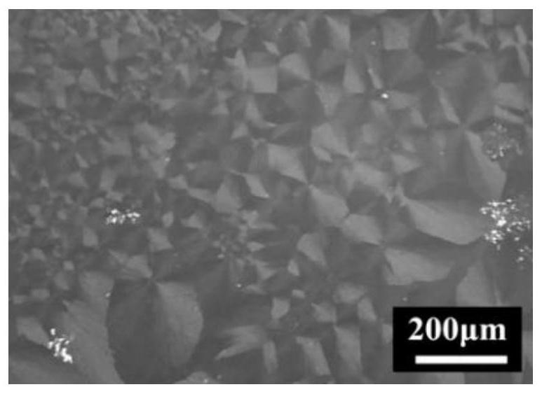 Method for preparing rubrene spherocrystal film through induction of rigid structure polymer