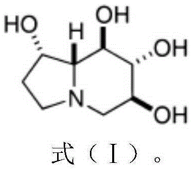 Application of castanospermine to preparation of antibacterial drugs