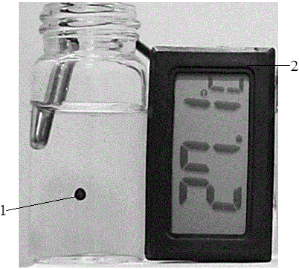 Preparation method and application of photo-thermal material Fe3O4/polydopamine/polyisopropyl acrylamide