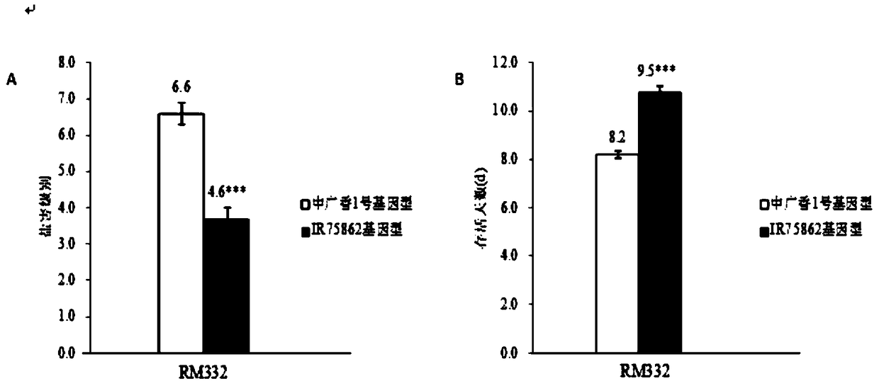 A salt tolerance gene qst11 in rice seedling stage and its molecular marker method