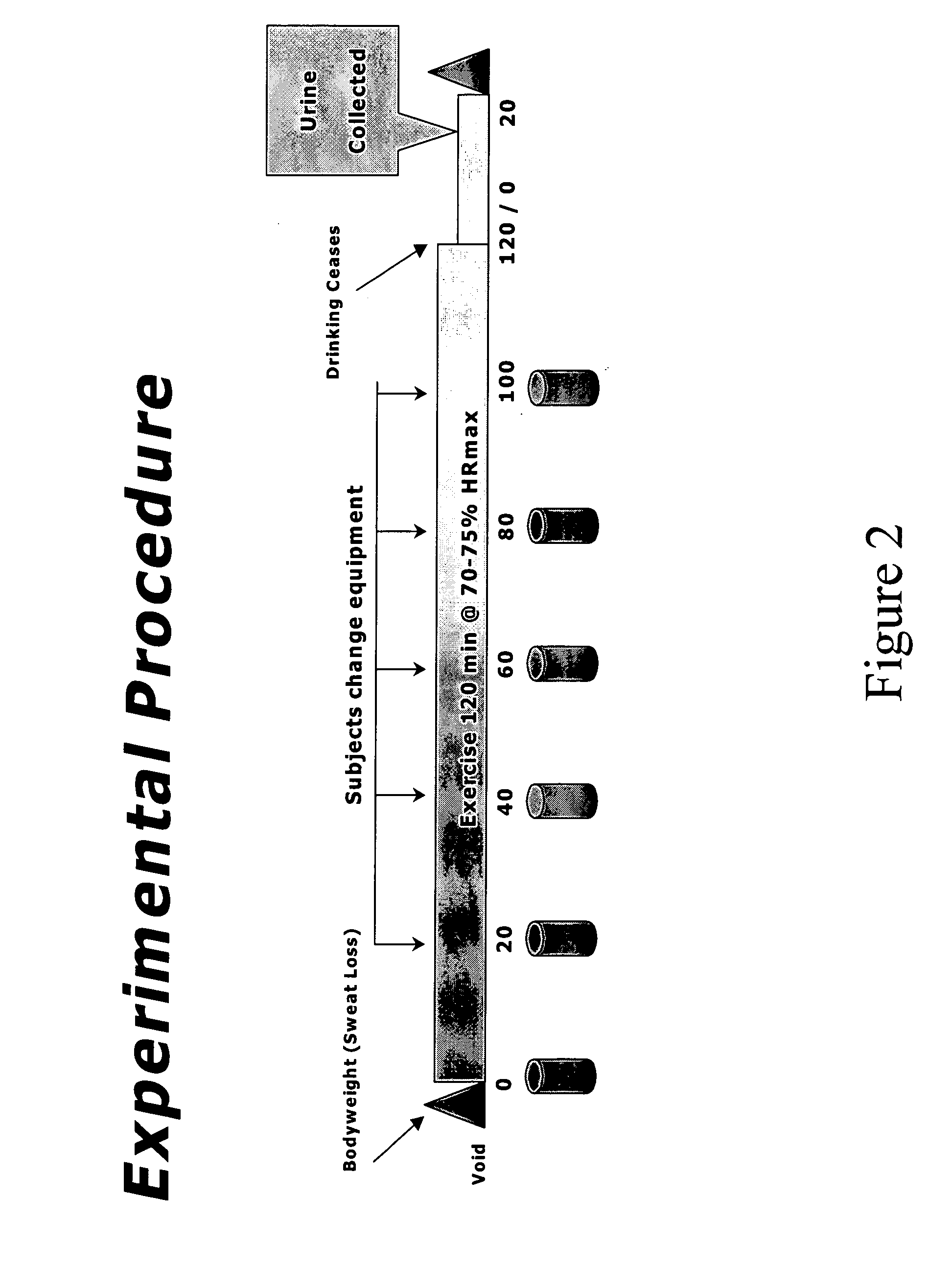 Carbohydrate and electrolyte replacement composition