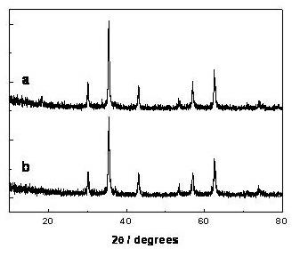 Magnetically supported titanium dioxide photocatalyst and preparation method thereof