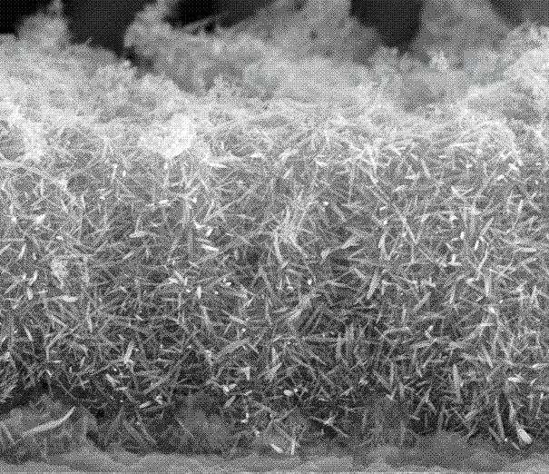 Preparation method of branched zinc oxide nanowire array film