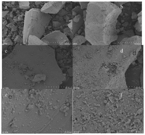 Method for removing heavy metal chromium by preparing biological magnetite with dissimilatory iron reducing bacteria