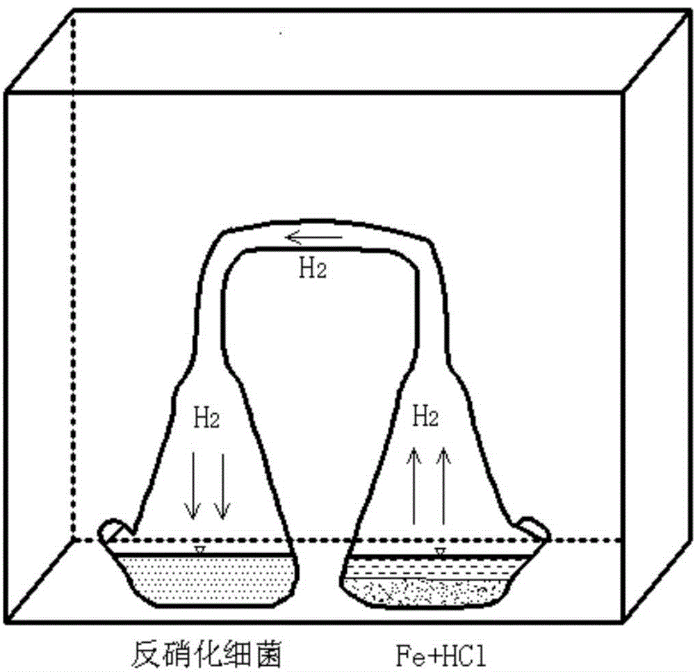 Preparation method and application of attapulgite/nano-iron composite material-microorganism coupled body