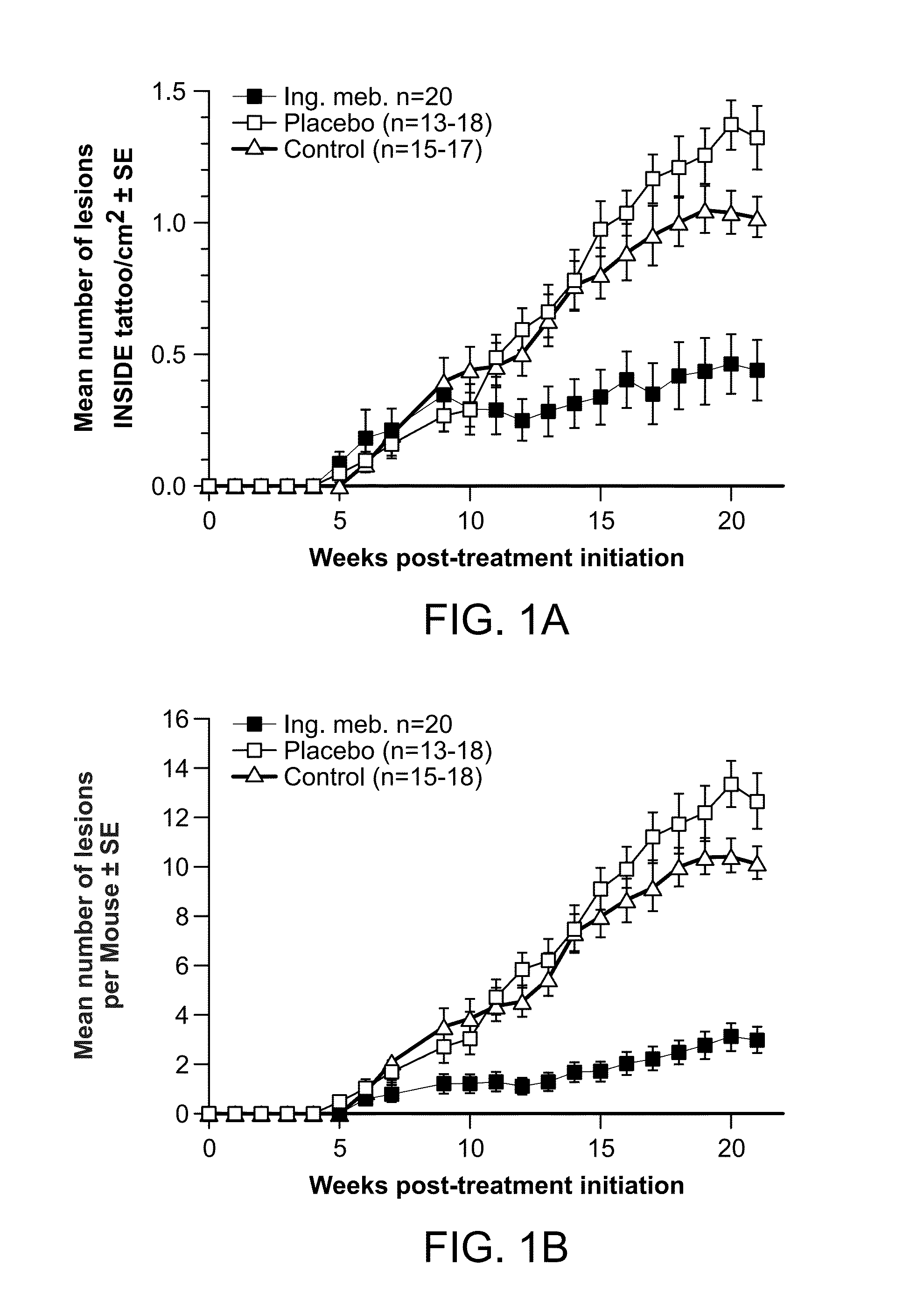 Methods for treating uv-damaged skin and scc tumors and for removing tattoos with topical ingenol mebutate