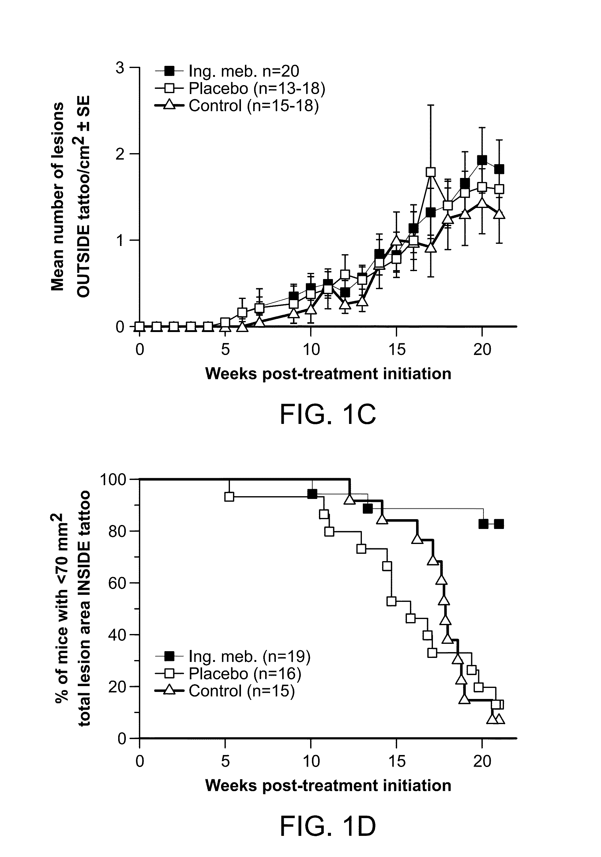 Methods for treating uv-damaged skin and scc tumors and for removing tattoos with topical ingenol mebutate