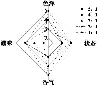 Pickle flavored sour tea beverage and preparation method thereof