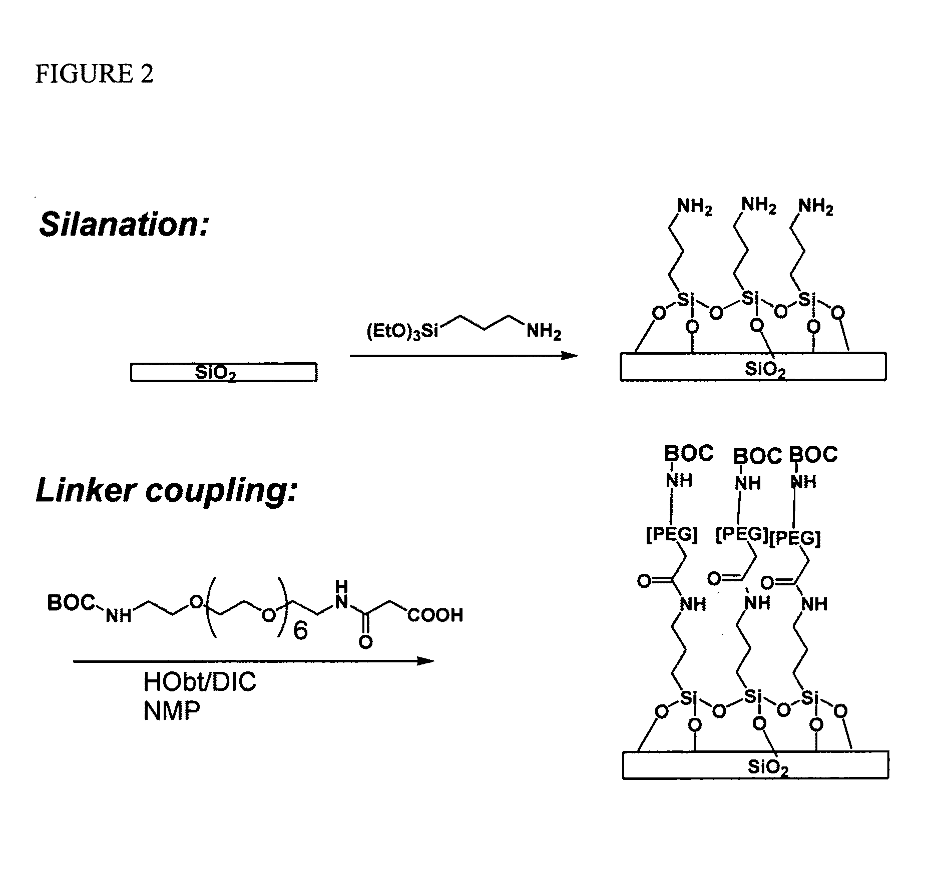 Molecular microarrays and helical peptides