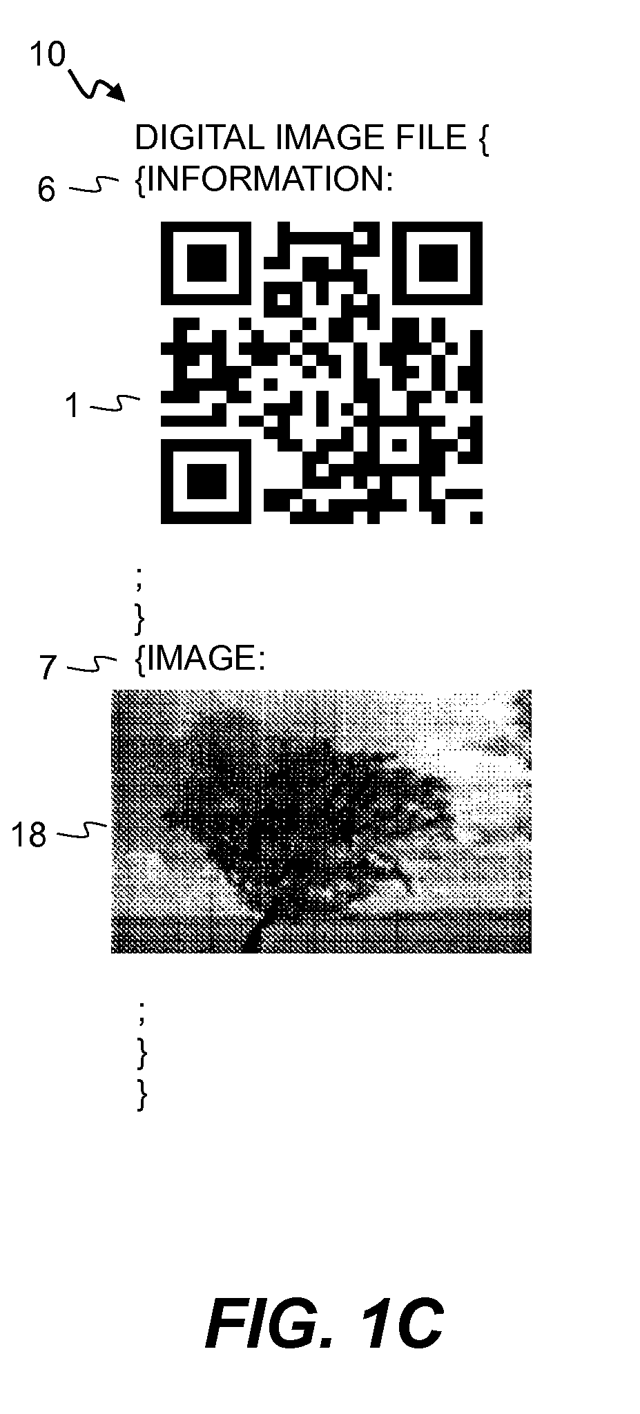 Digital image file including optical code