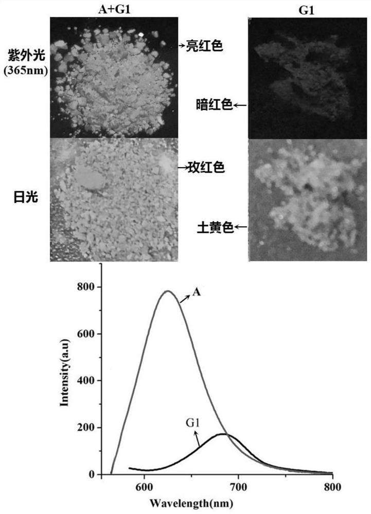 Hexamethyl six-membered cucurbit ring supramolecular self-assembly carrier and its application