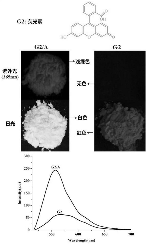 Hexamethyl six-membered cucurbit ring supramolecular self-assembly carrier and its application