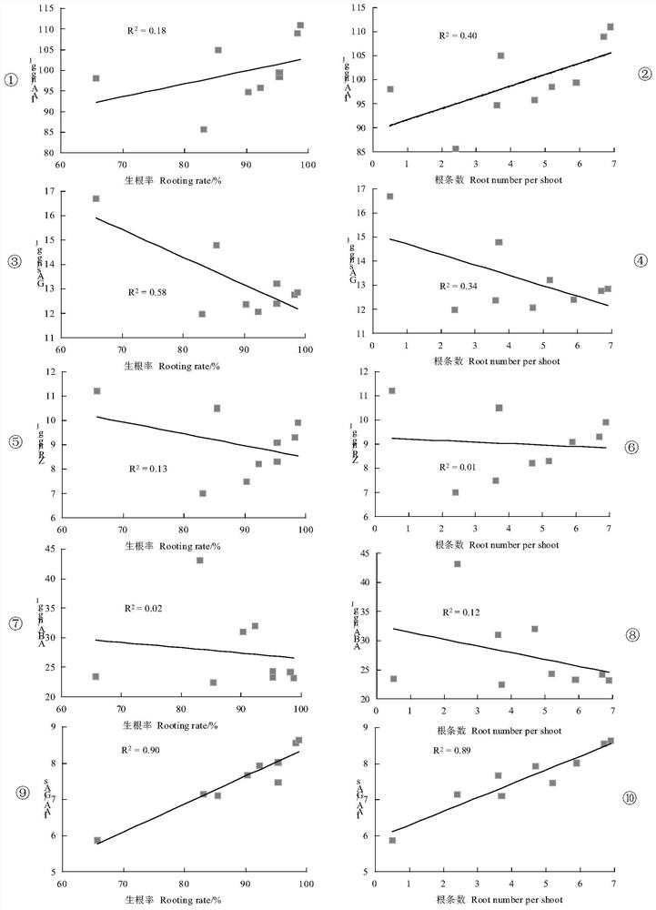 Method for Improving Rooting Ability of Pinus massoniana Based on Endogenous Hormone