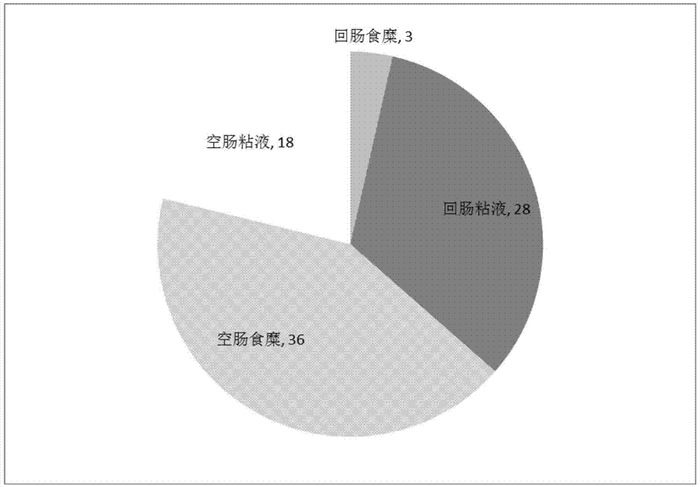 Lactobacillus strain with high adhesive power, and application thereof