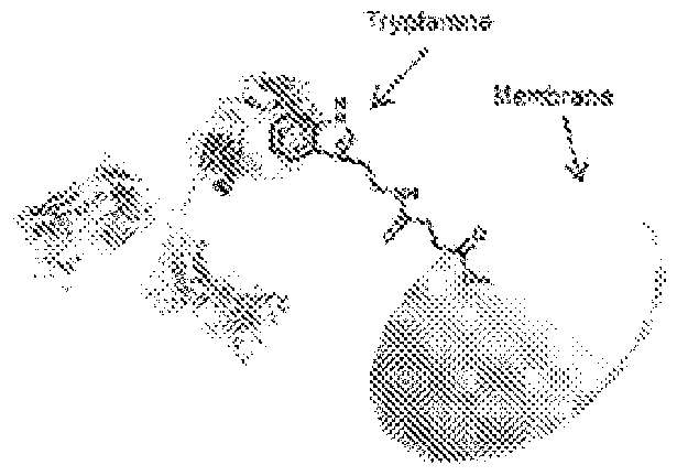 Small molecule affinity membrane purification systems and uses thereof