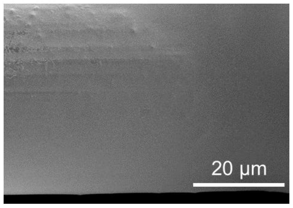 Wear-resistant and repairable super-hydrophobic metal net and preparation method thereof