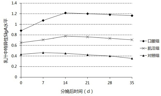 A kind of porcine epidemic diarrhea virus vaccine and preparation method thereof