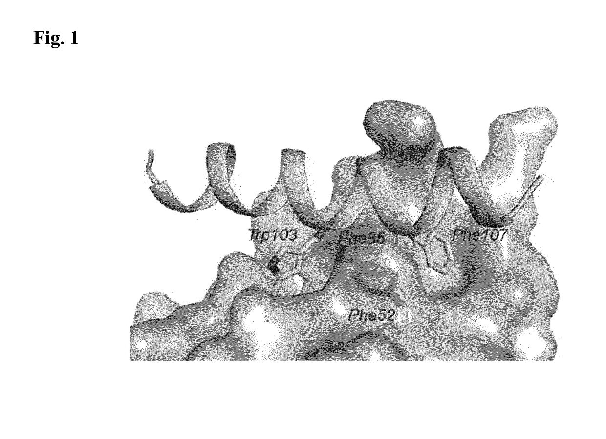 Pyrazolopyridine derivatives and their use in therapy