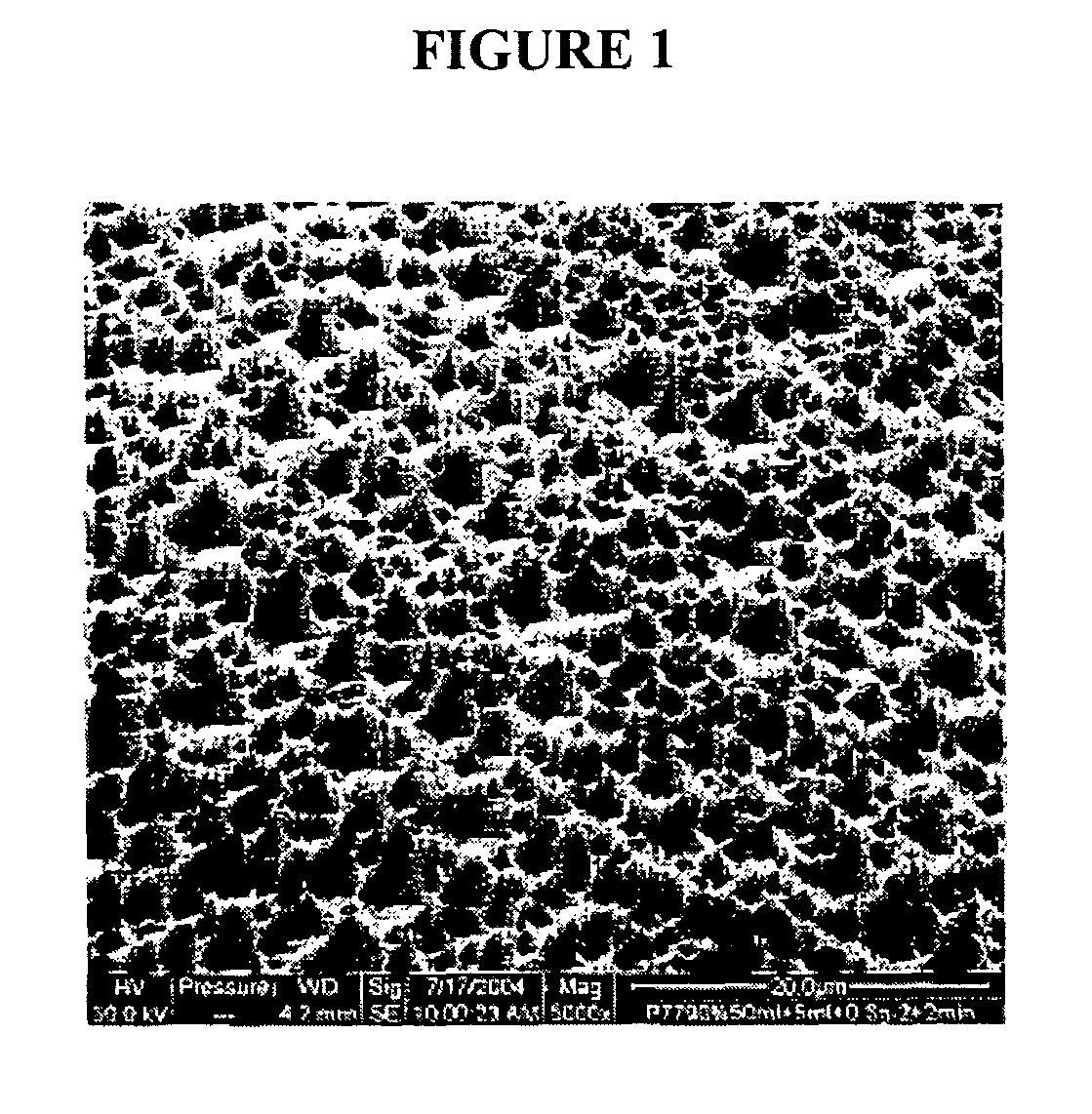 Implants with textured surface and methods for producing the same