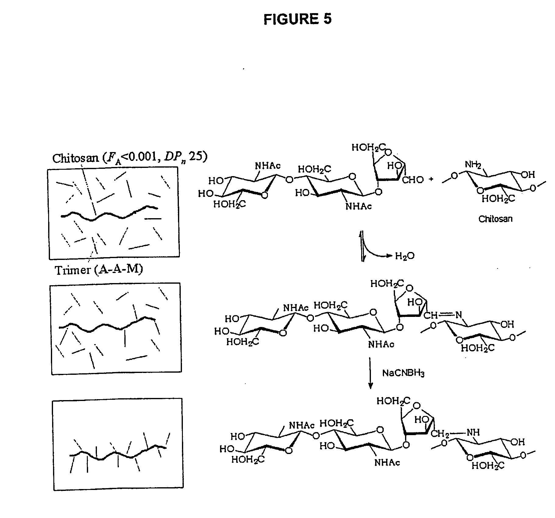 Non-viral gene delivery system