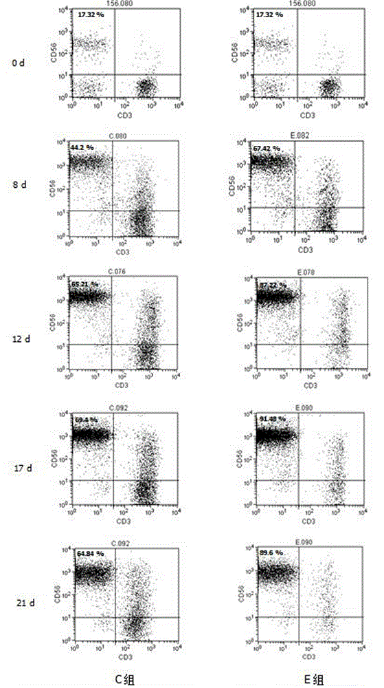 Solid tumor patient autologous NK cell separation, excitation, amplification and activity detection method
