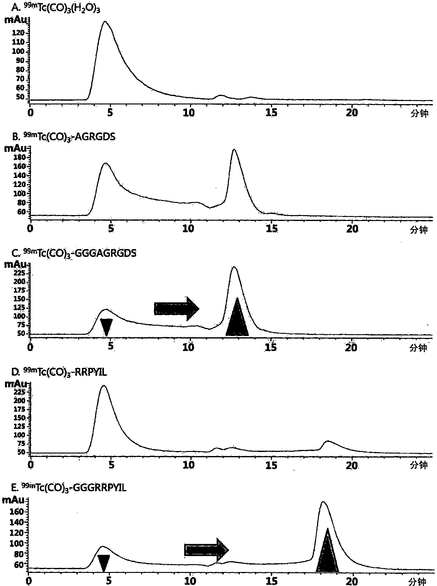 Preparation of technetium-99m tricarbonyl labeled glycine monomer or oligomer containing probes that have biomolecules and its application as imaging complex-composition