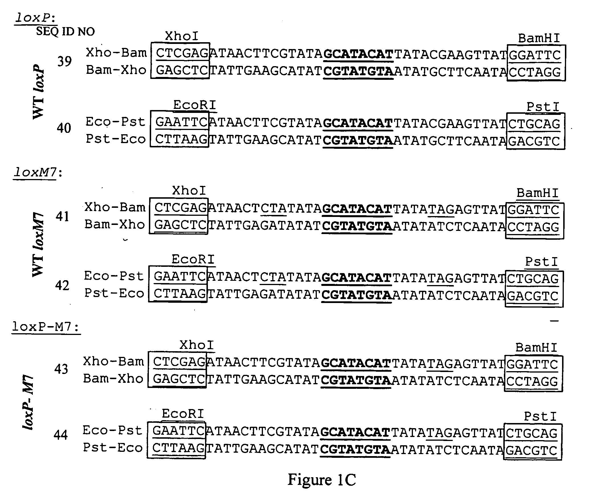 Enzymes, cells and methods for site specific recombination at asymmetric sites