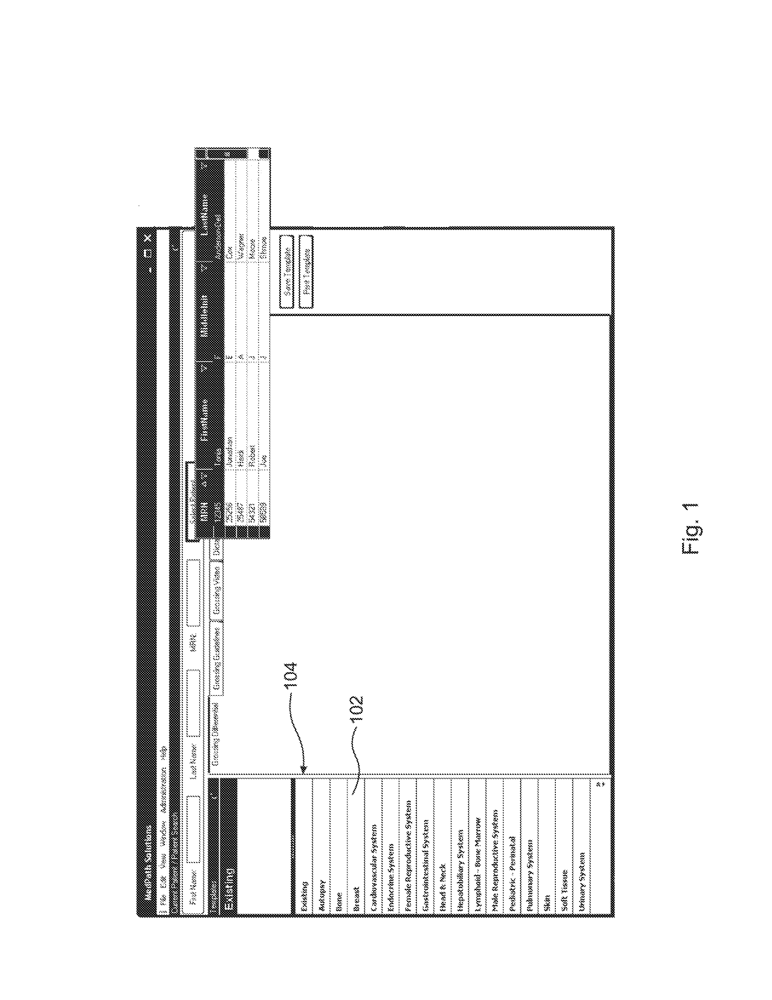 Computer based standardized method and apparatus for guiding decision support for surgical anatomic pathology operations