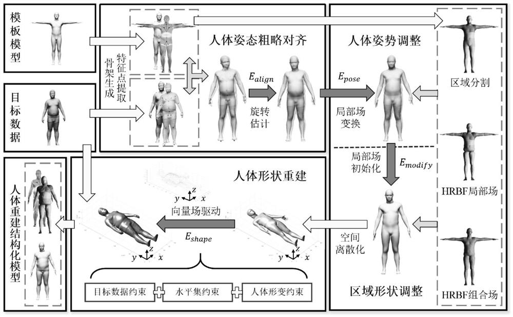 A Human Body Geometry Reconstruction Method Based on Euler Field Deformation Constraints