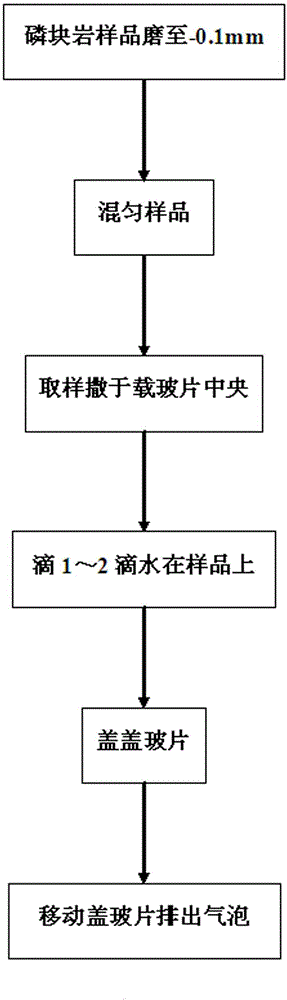 Method for rapidly preparing sheet by powdered phosphorite