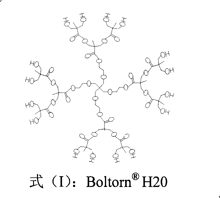 Double pole film with hyperbranched polymericcompound as the intermediate boundary layer and method of preparing the same