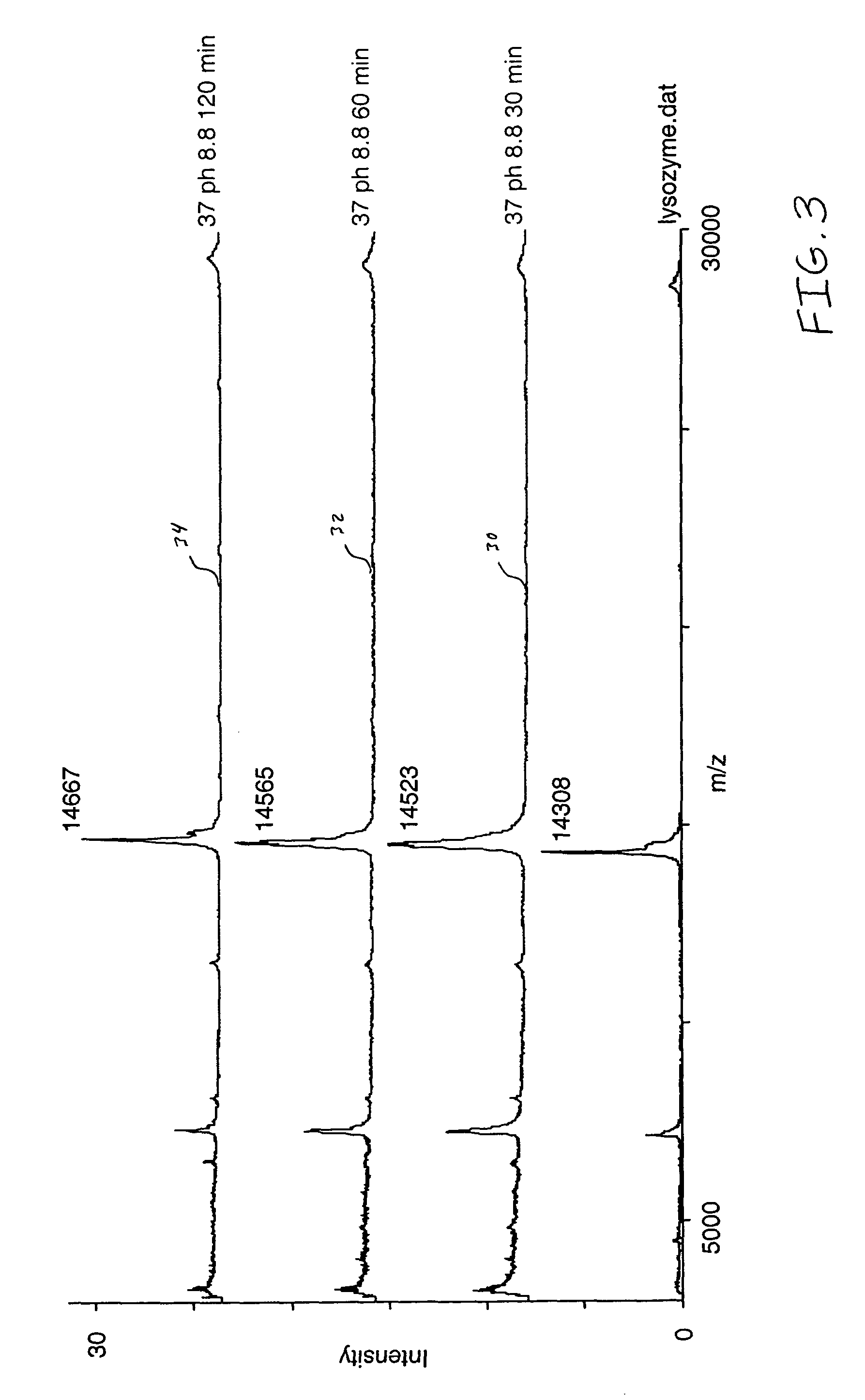 One-step reduction and alkylation of proteins