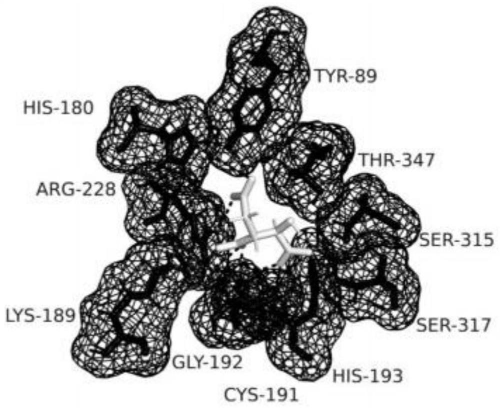 Mycobacterium tuberculosis isocitrate lyase lead inhibitor