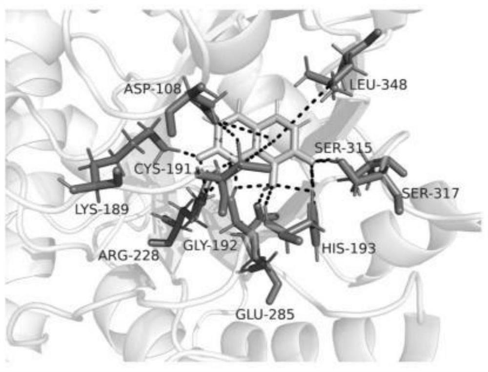 Mycobacterium tuberculosis isocitrate lyase lead inhibitor