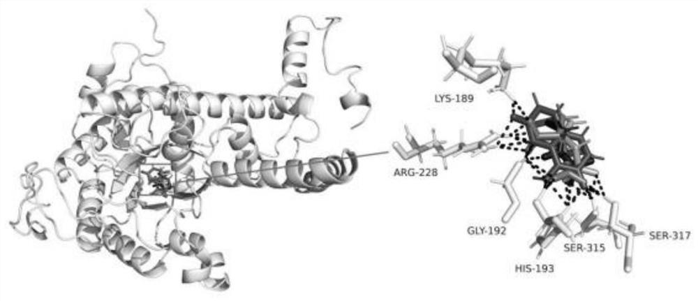 Mycobacterium tuberculosis isocitrate lyase lead inhibitor