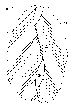 Bearing system for a wind turbine rotor
