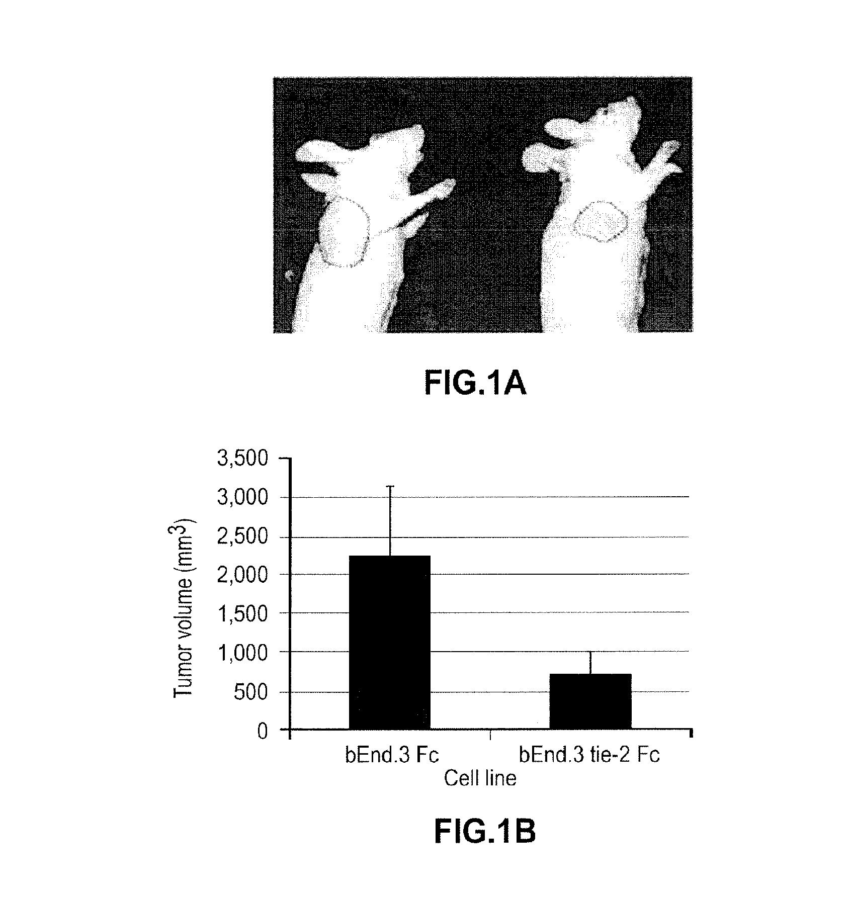 Triarylmethane analogs and their use in treating cancers