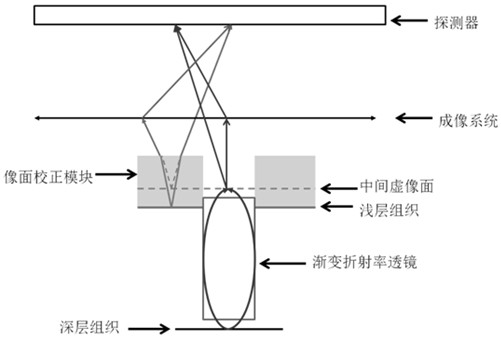 Multiplane Microscopic Imaging System Based on Gradient Variable Index Lens