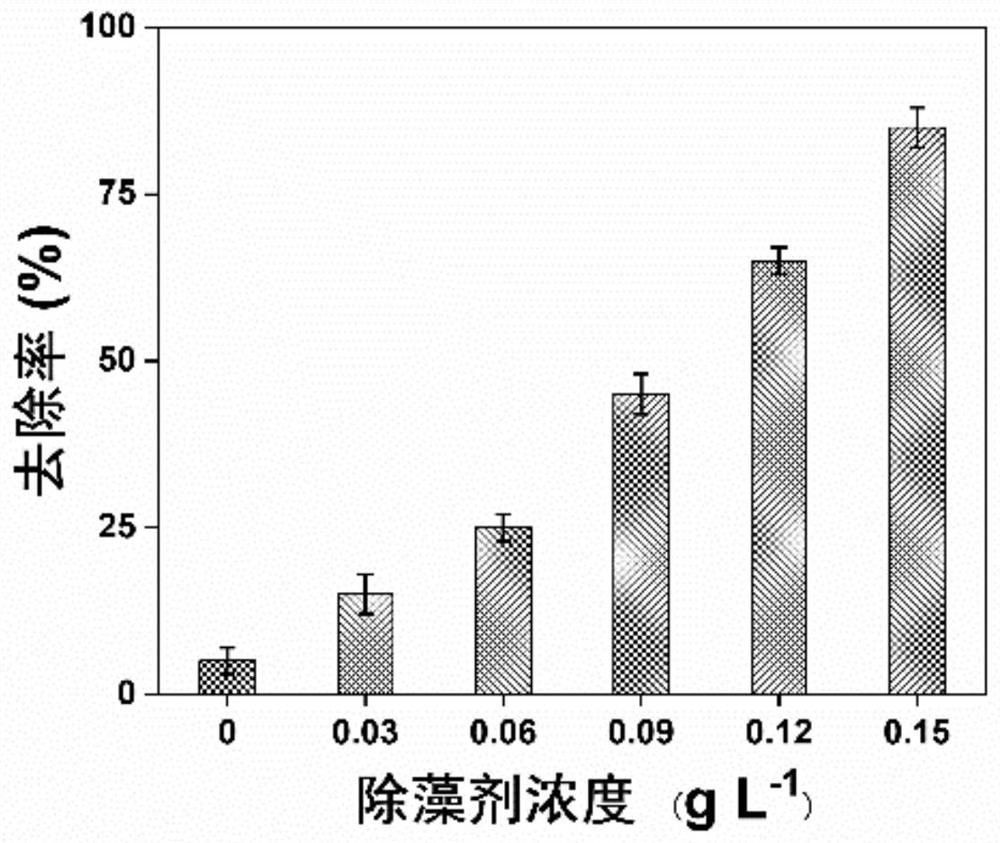 Red tide algae algicide based on myricetin activated persulfate and application of algicide