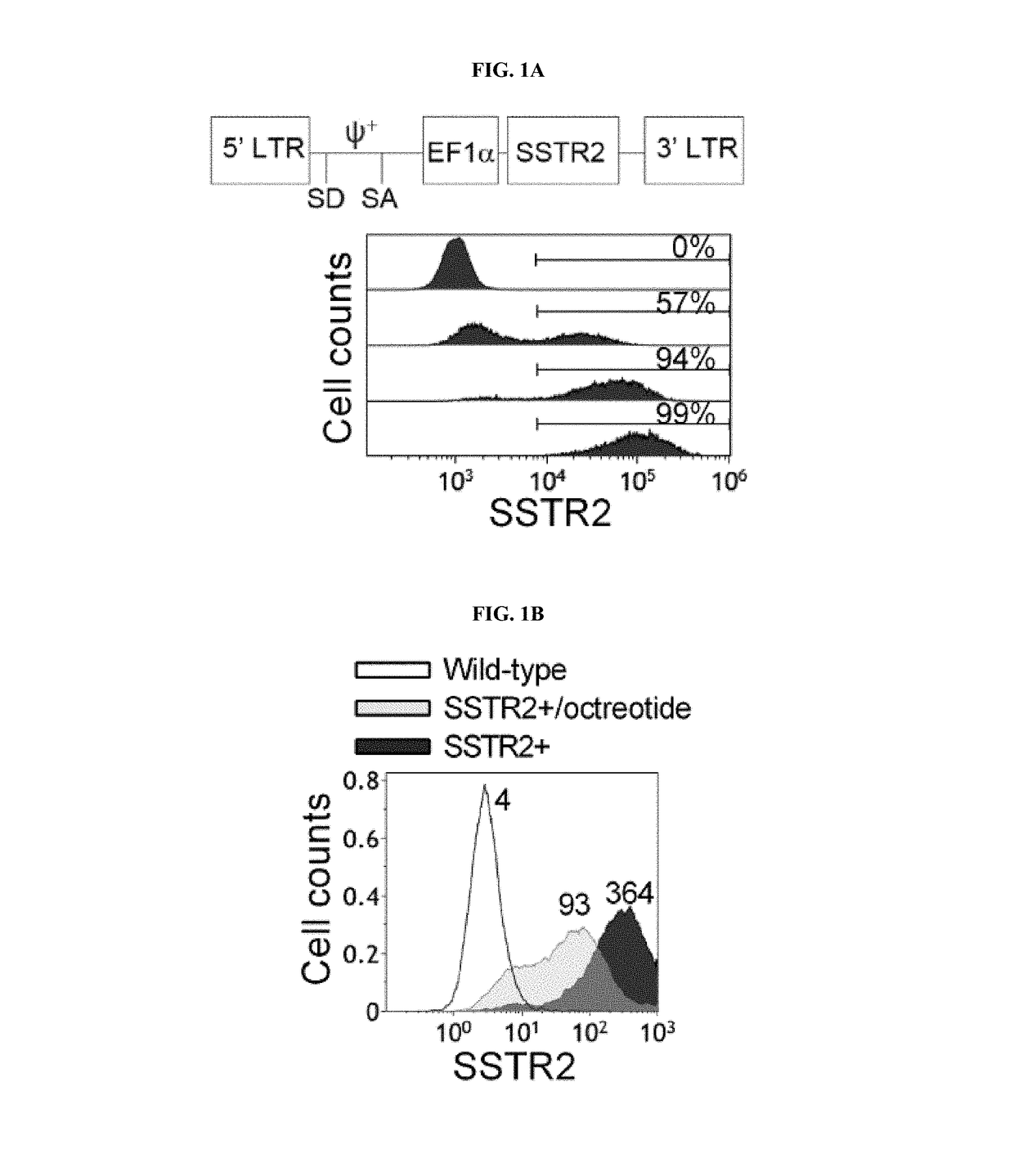 Transduced t cells expressing human sstr2 and application thereof